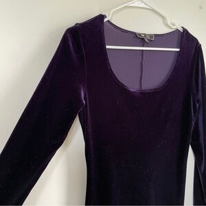 Lily long sleeve velvet purple dress